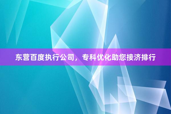 东营百度执行公司，专科优化助您接济排行