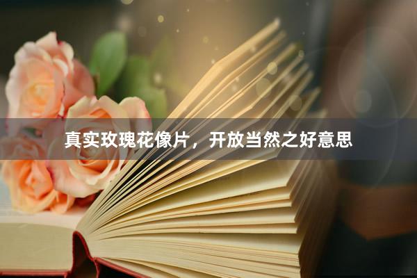 真实玫瑰花像片,开放当然之好意思