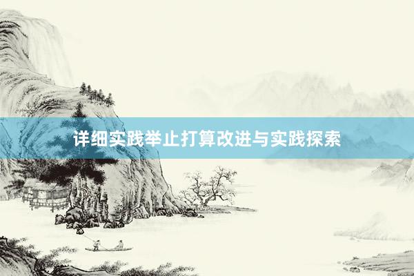 详细实践举止打算改进与实践探索