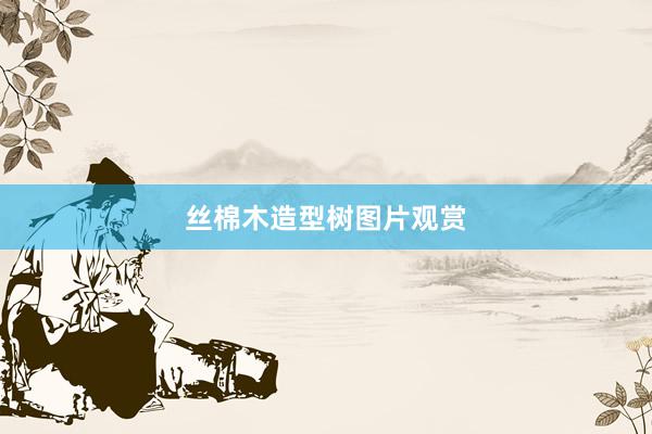 丝棉木造型树图片观赏