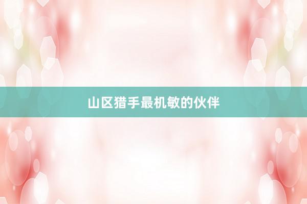 山区猎手最机敏的伙伴